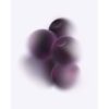 Cassis Pods