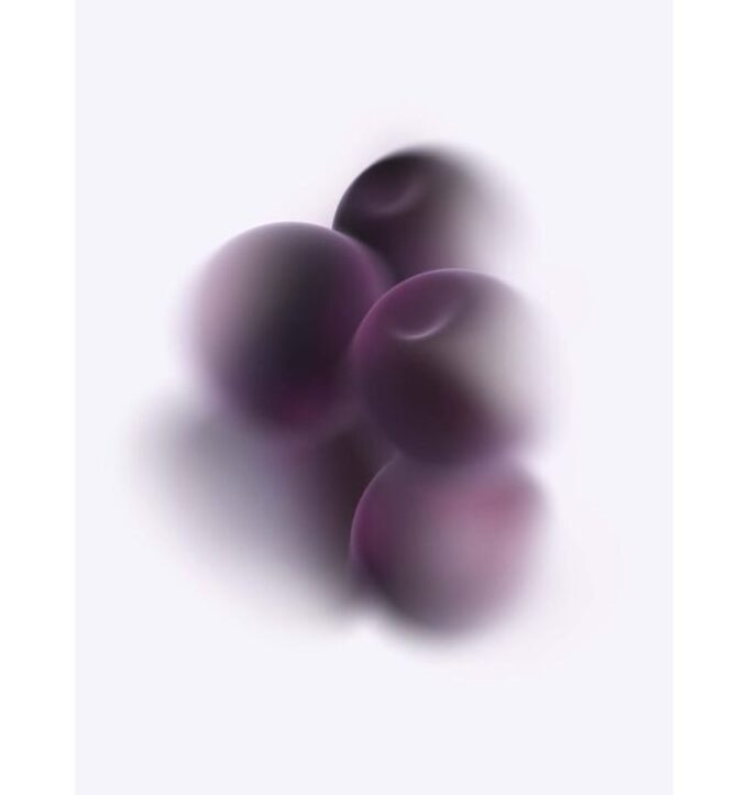 Cassis Pods